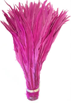 Rooster Tail Feathers
